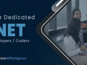 Hire .NET Developers India